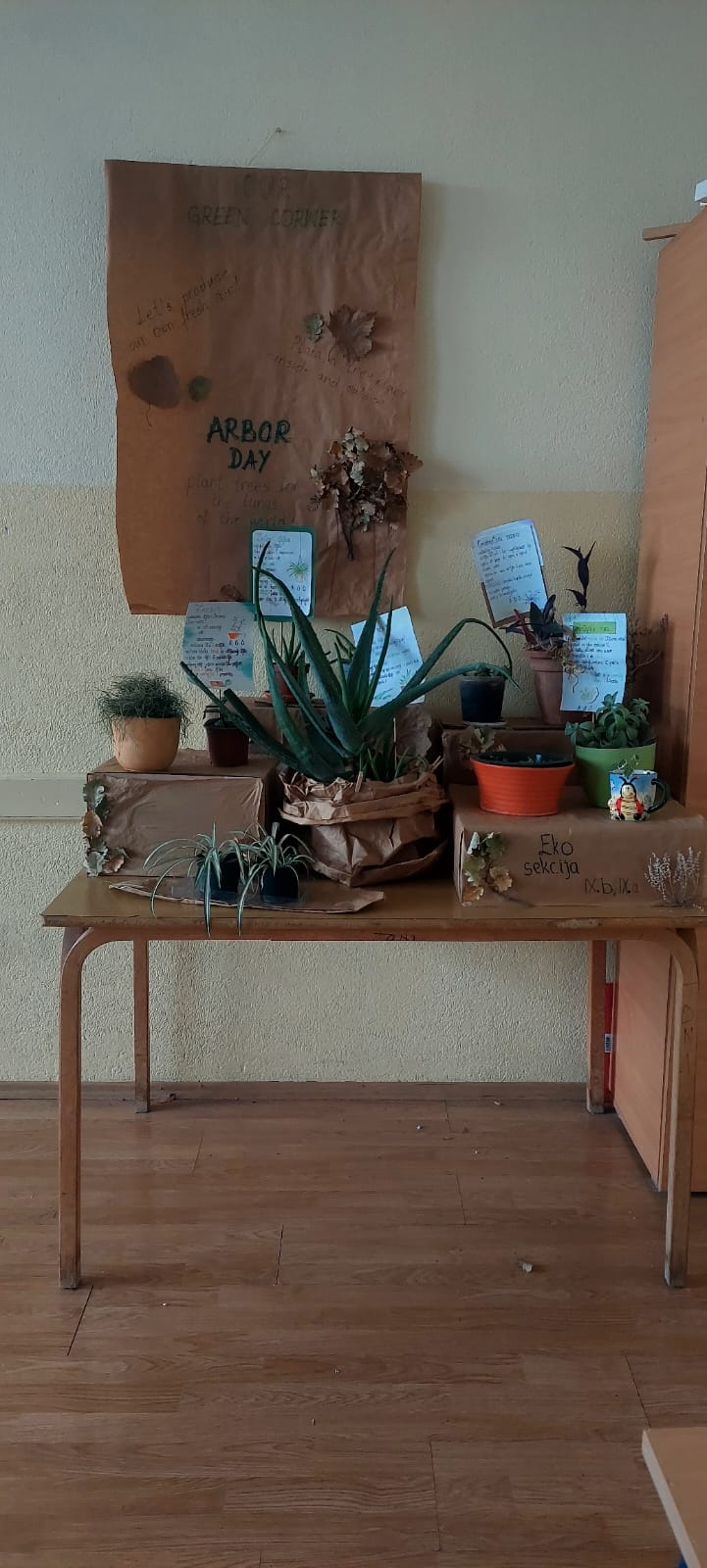 IMG 20240208 WA0002